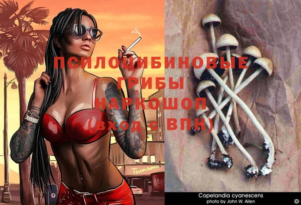 гидропоника Туринск