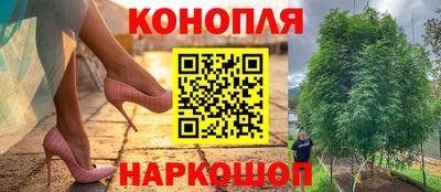 spice Балаково