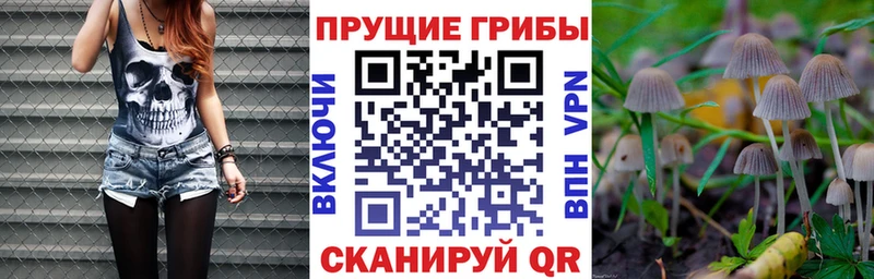 Галлюциногенные грибы Magic Shrooms Тутаев