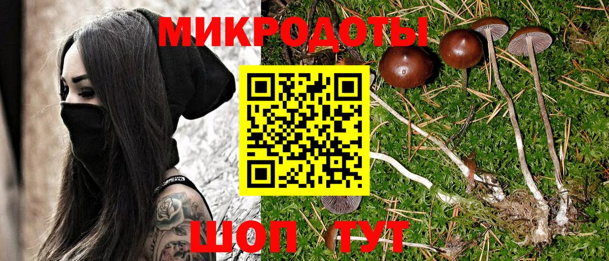наркотики  Псилоцибиновые грибы мухоморы  Тутаев  Галлюциногенные грибы ЛСД 