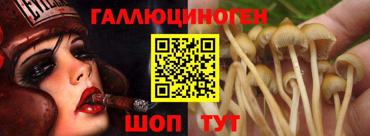 Галлюциногенные грибы мухоморы Тутаев